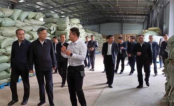 湖南省委常委、政法委書記李殿勛調研湖南湘豐桑植白茶有限公司 湖南省委常委、政法委書記李殿勛調研湖南湘豐桑植白茶有限公司