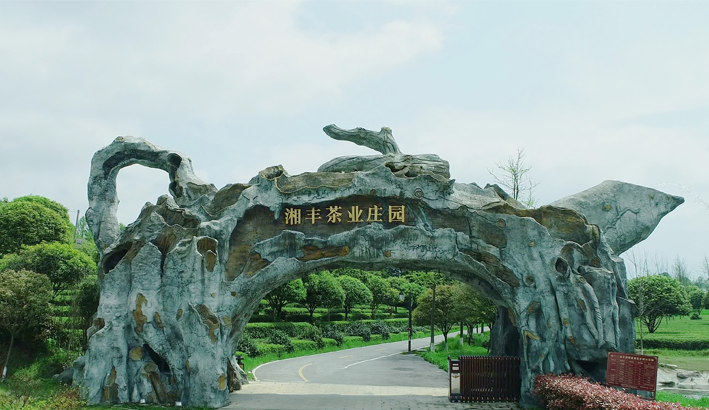 湘豐茶業莊園.png 湘豐茶業莊園.png