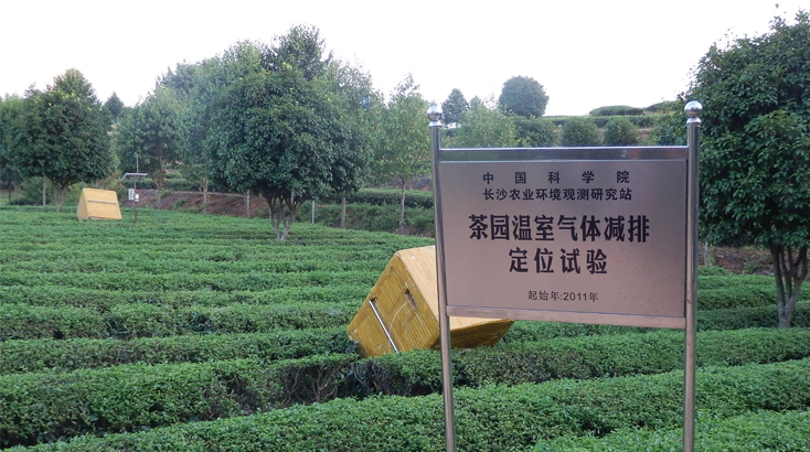 中科院監控生態茶園.JPG.png 中科院監控生態茶園.JPG.png