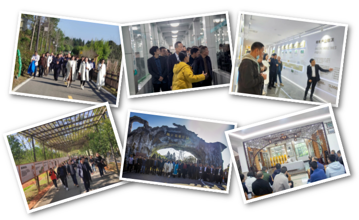 1638323123(1).png 1638323123(1).png