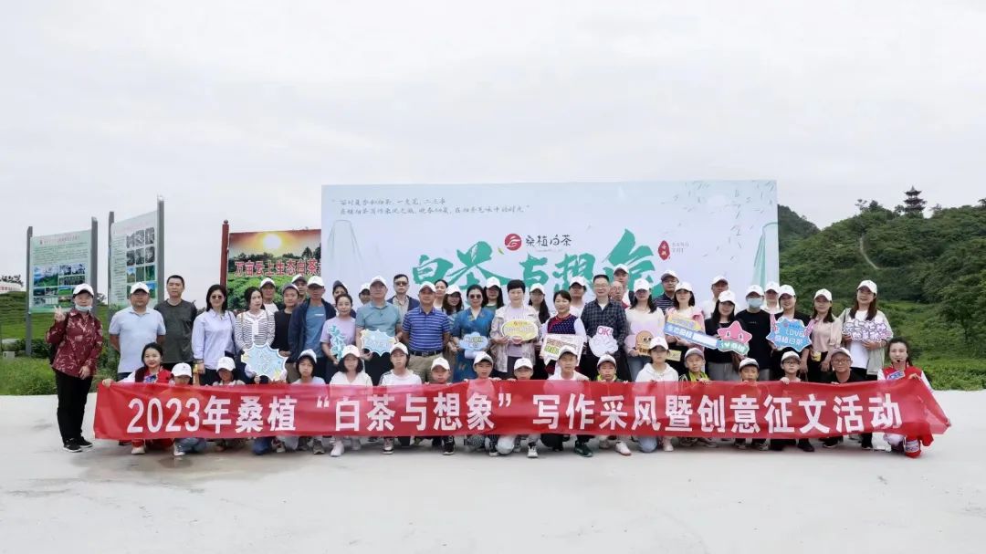桑植白茶與文學邂逅 文化賦能茶產業發展 桑植白茶與文學邂逅 文化賦能茶產業發展