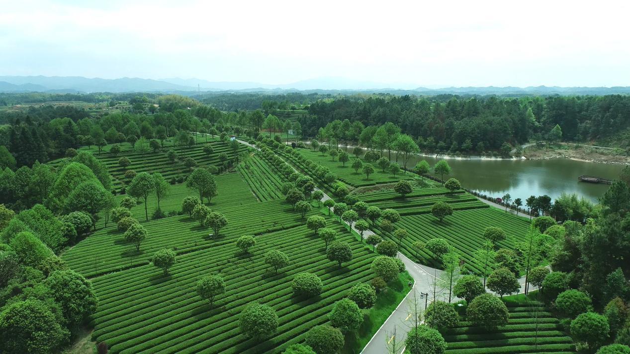 圖片5.png 圖片5.png