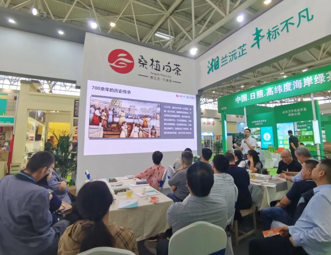 斬獲雙項金獎！湘豐桑植白茶閃耀第十屆中國茶葉博覽會
