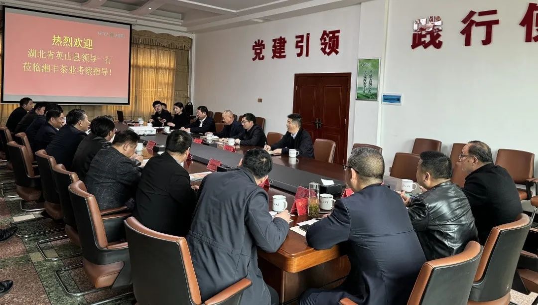 湖北省英山縣委書記鄭光文帶隊考察湘豐茶業集團 湖北省英山縣委書記鄭光文帶隊考察湘豐茶業集團