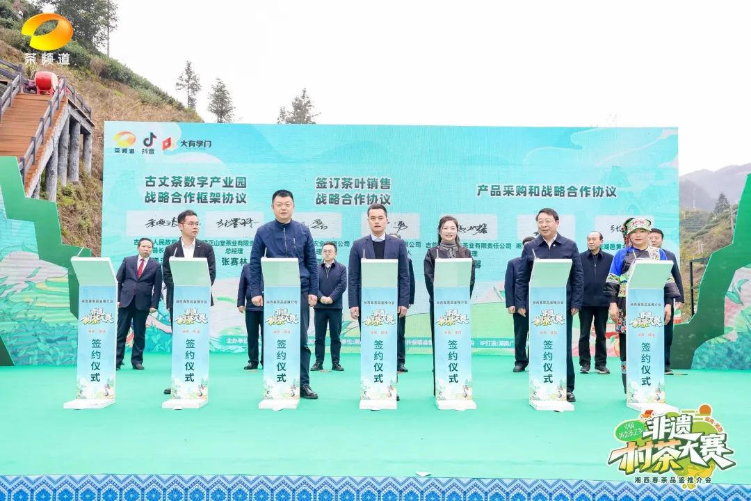 中國黃金茶之鄉·非遺村茶大賽隆重舉行! 中國黃金茶之鄉·非遺村茶大賽隆重舉行!