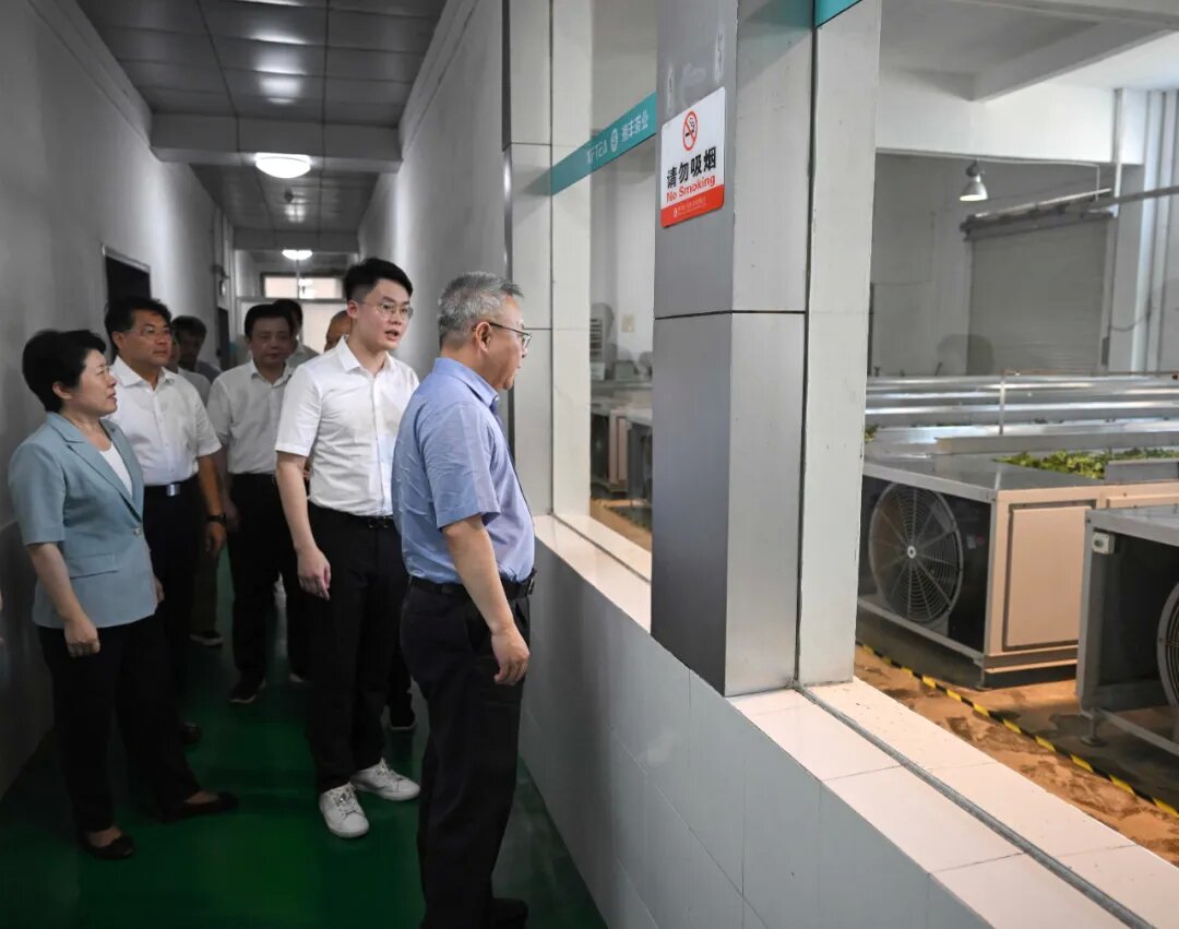 沈曉明調研綠色農產品及食品加工產業發展 沈曉明調研綠色農產品及食品加工產業發展