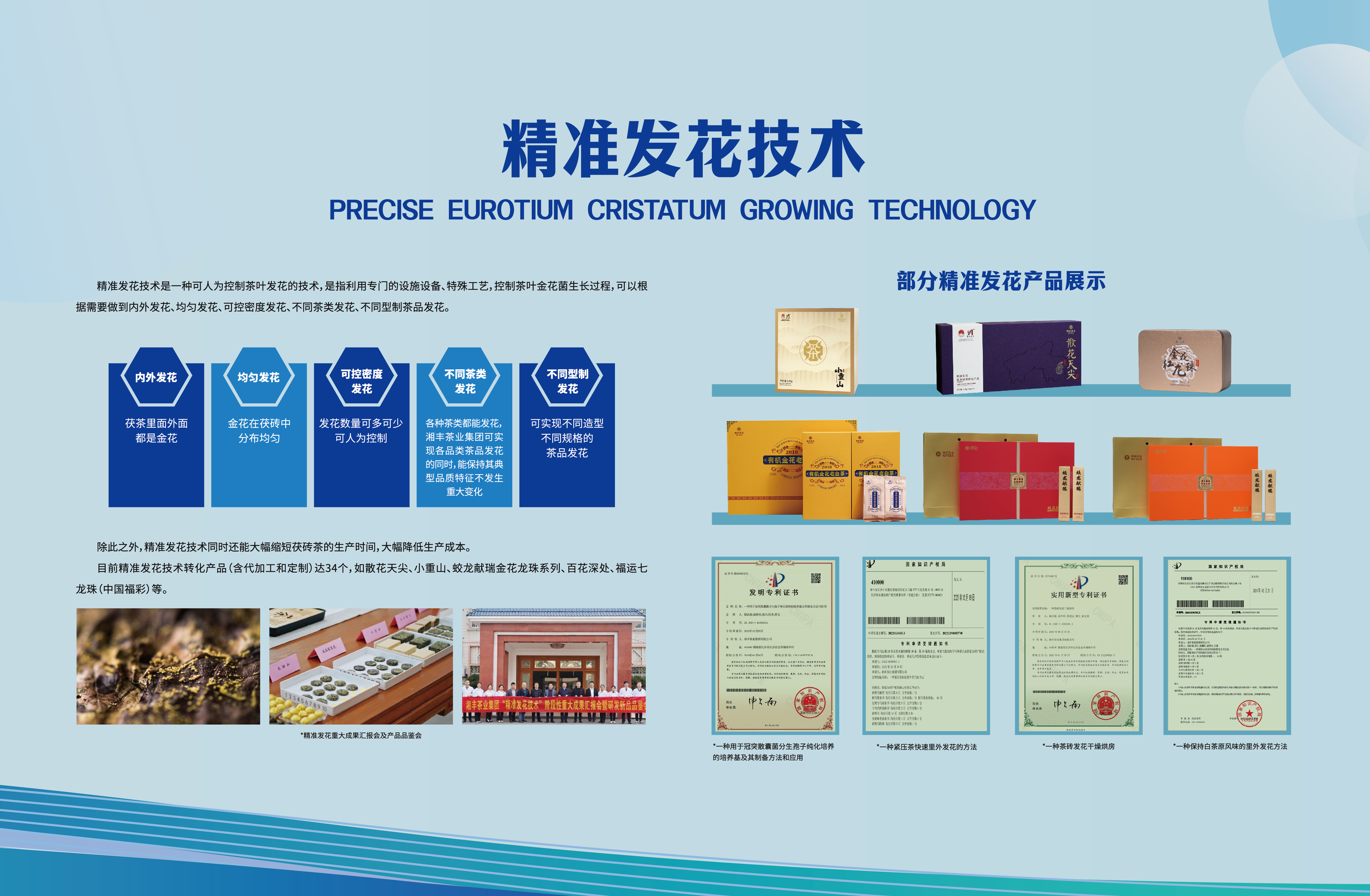 科技湘豐-精準發花技術.jpg 科技湘豐-精準發花技術.jpg